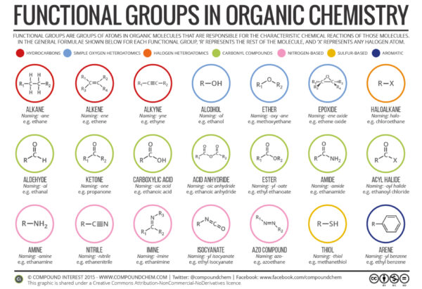 Unit 4 – Organic Chemistry